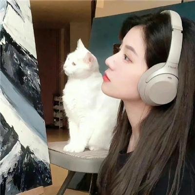 爱莲妹妹 封面